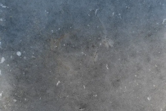 קזינו קוינס גיים תמיכה